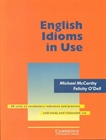 Obrazek English Idioms in Use Intermediate with Answers